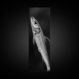 Silver Fish, Minimal Animal, Ocean Catch, Framed Canvas Print, Kitchen Wall Art, Nature Inspired Decor, Monochrome Sea Life