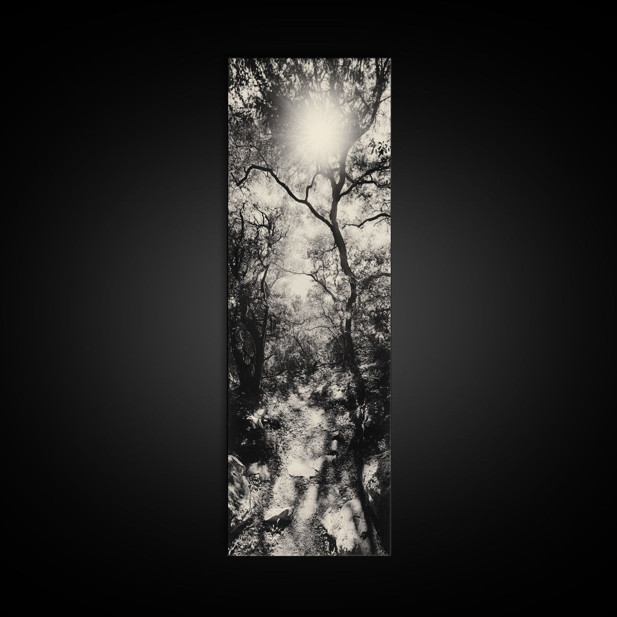 Forest Path, Sunburst Trees, Woodland Trail, Nature Light Framed Canvas Print, Boho Entryway Wall Art, Autumn Rustic Home Decor