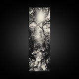 Forest Path, Sunburst Trees, Woodland Trail, Nature Light Framed Canvas Print, Boho Entryway Wall Art, Autumn Rustic Home Decor