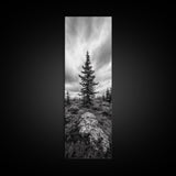 Lone Pine Tree, Forest Mood, Wilderness Art, Framed Canvas Print, Minimalist Wall Decor, Cabin Art, Neutral Fall Tones, Nature Lover Gift