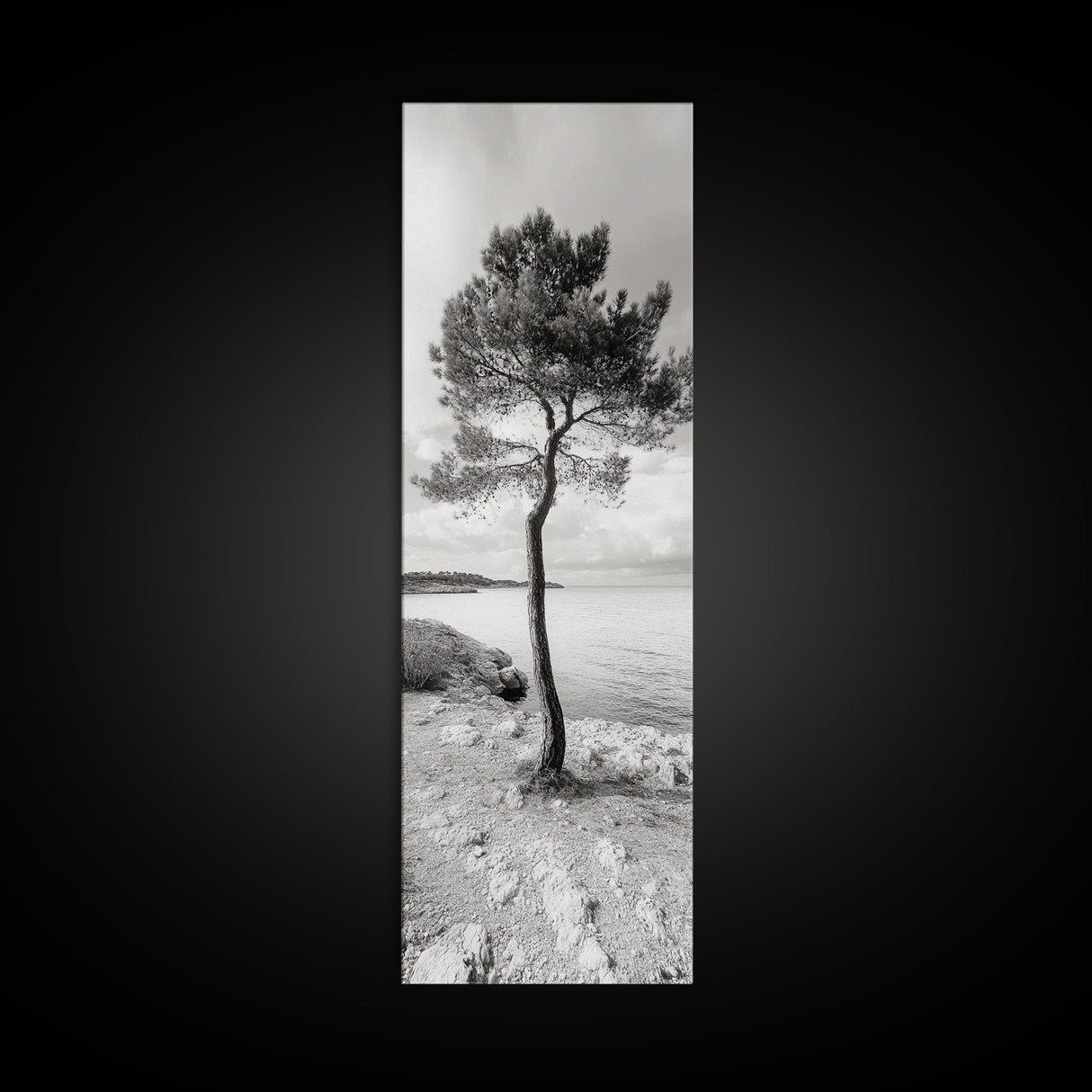 Coastal Tree, Seaside Calm, Lone Pine, Framed Canvas Print, Neutral Wall Art, Minimalist Decor, Nature Inspired Bedroom Print