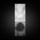 Drift Bundle, Desert Shore, Coastal Minimal, Framed Canvas Print, Moody Beach Photography, Boho Wall Decor, Autumn Entryway Art