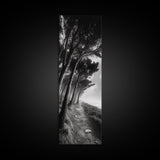 Windy Forest Trail, Dark Coastal Trees, Atmospheric Nature, Framed Canvas Print, Fall Living Room Wall Art, Moody Landscape Aesthetic