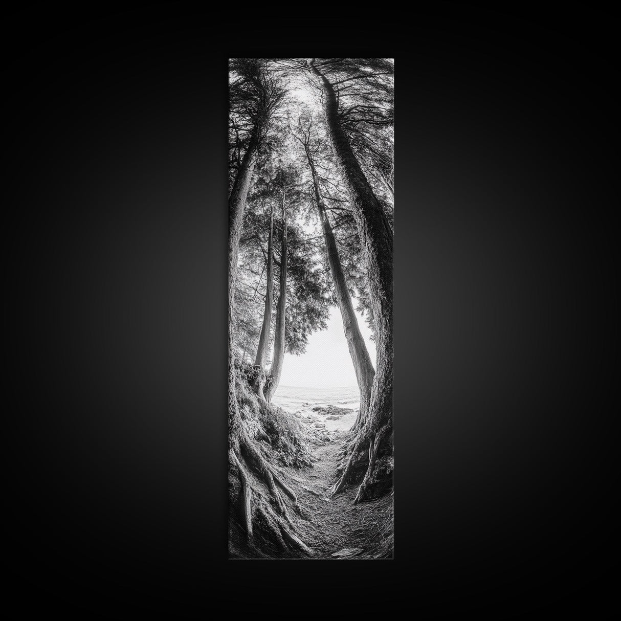 Forest Path, Ocean View, Tall Trees, Canvas Print, Black and White Nature Art, Entryway Wall Art, Rustic Woodland Aesthetic, Bedroom Wall Art