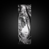Forest Path, Ocean View, Tall Trees, Canvas Print, Black and White Nature Art, Entryway Wall Art, Rustic Woodland Aesthetic, Bedroom Wall Art