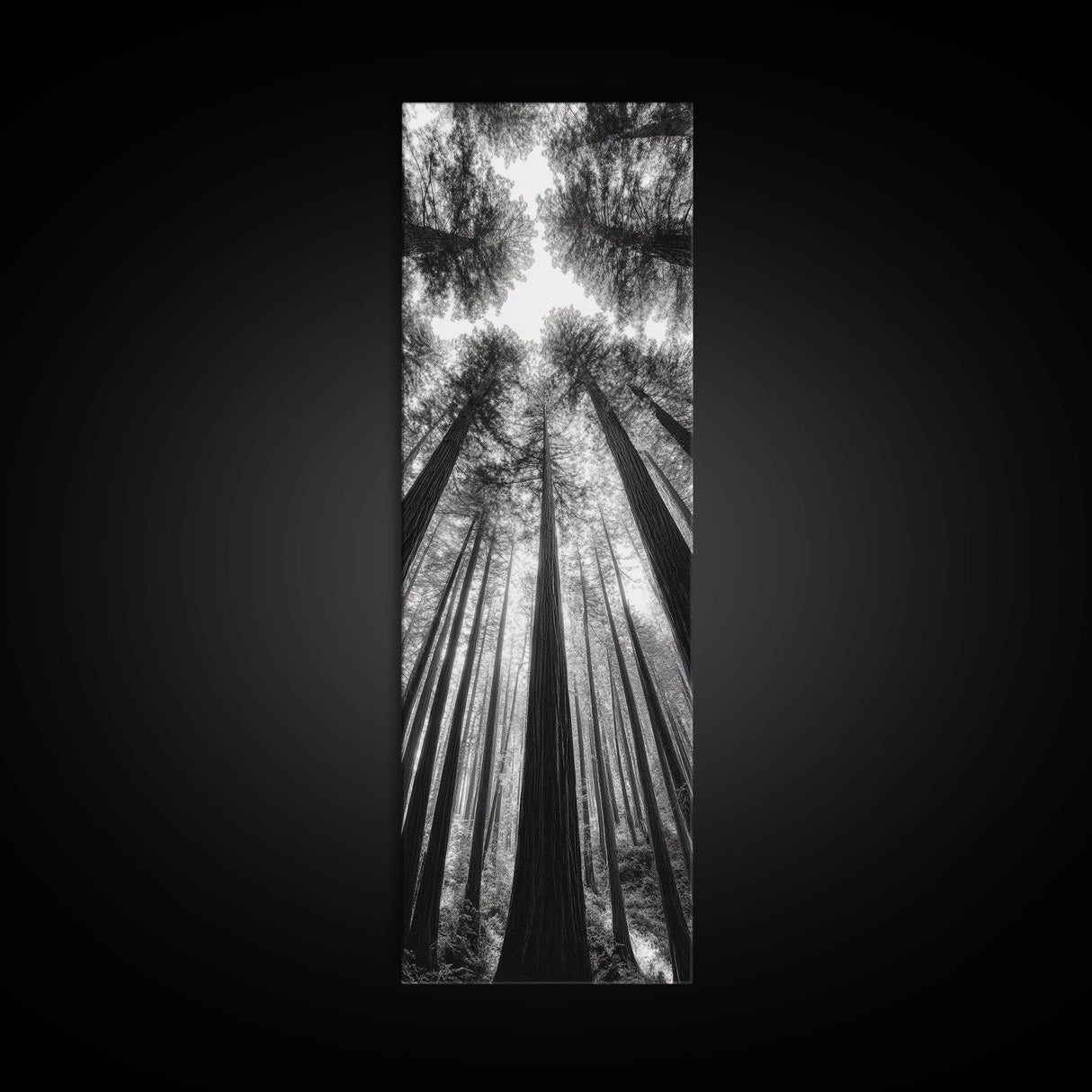 Redwood Forest, Sunlight Trees, Nature Canopy, Canvas Print, Serene Woodland Art, Cabin Wall Decor, Black and White Forest Art, Bedroom Wall Art