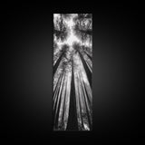 Redwood Forest, Sunlight Trees, Nature Canopy, Canvas Print, Serene Woodland Art, Cabin Wall Decor, Black and White Forest Art, Bedroom Wall Art