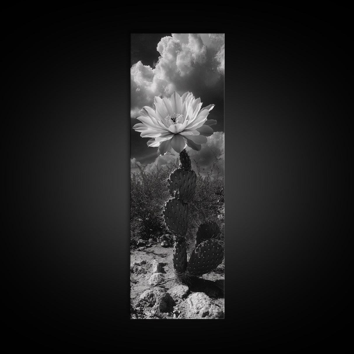 Desert Flower, Cactus Bloom, Southwest Charm, Bold Nature Art, Framed Canvas Print, Kitchen Wall Art, Boho Western Home Decor