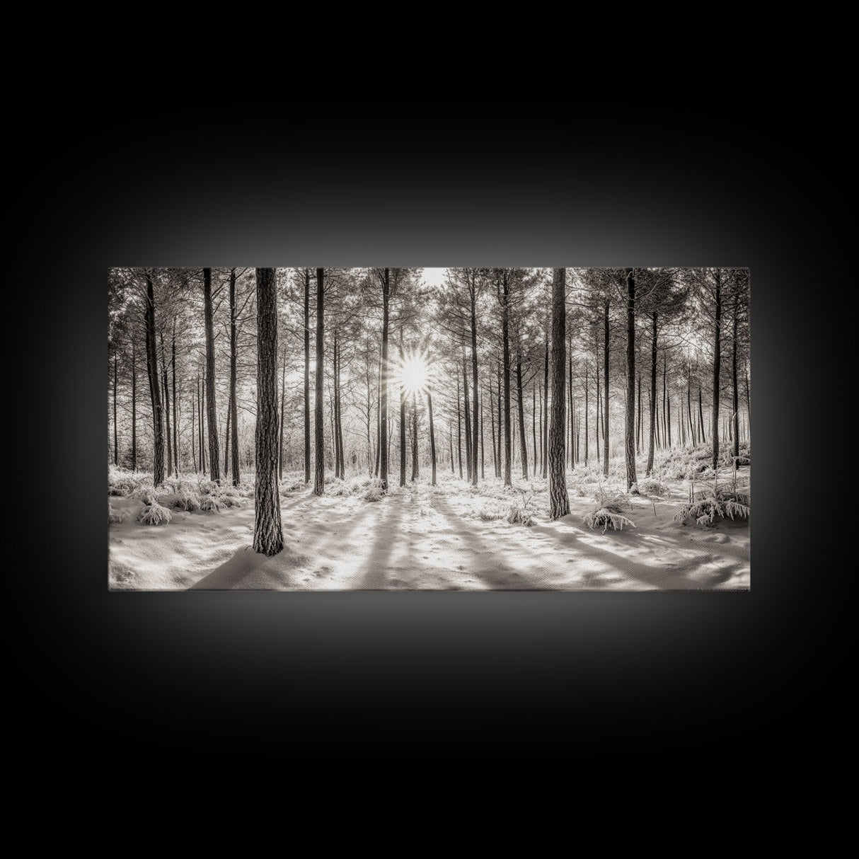 Winter Pine Forest, Sunlight Snow Trees, Nature Landscape Photography, Framed Canvas Print, Cabin Decor, Minimalist Wall Art