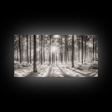Winter Pine Forest, Sunlight Snow Trees, Nature Landscape Photography, Framed Canvas Print, Cabin Decor, Minimalist Wall Art