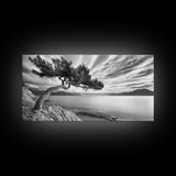 Tree Horizon, Curved Pine, Coastal Calm, Zen Scene, Canvas Print, Living Room Wall Art, Wabi Sabi Decor, Natural Minimal Aesthetic