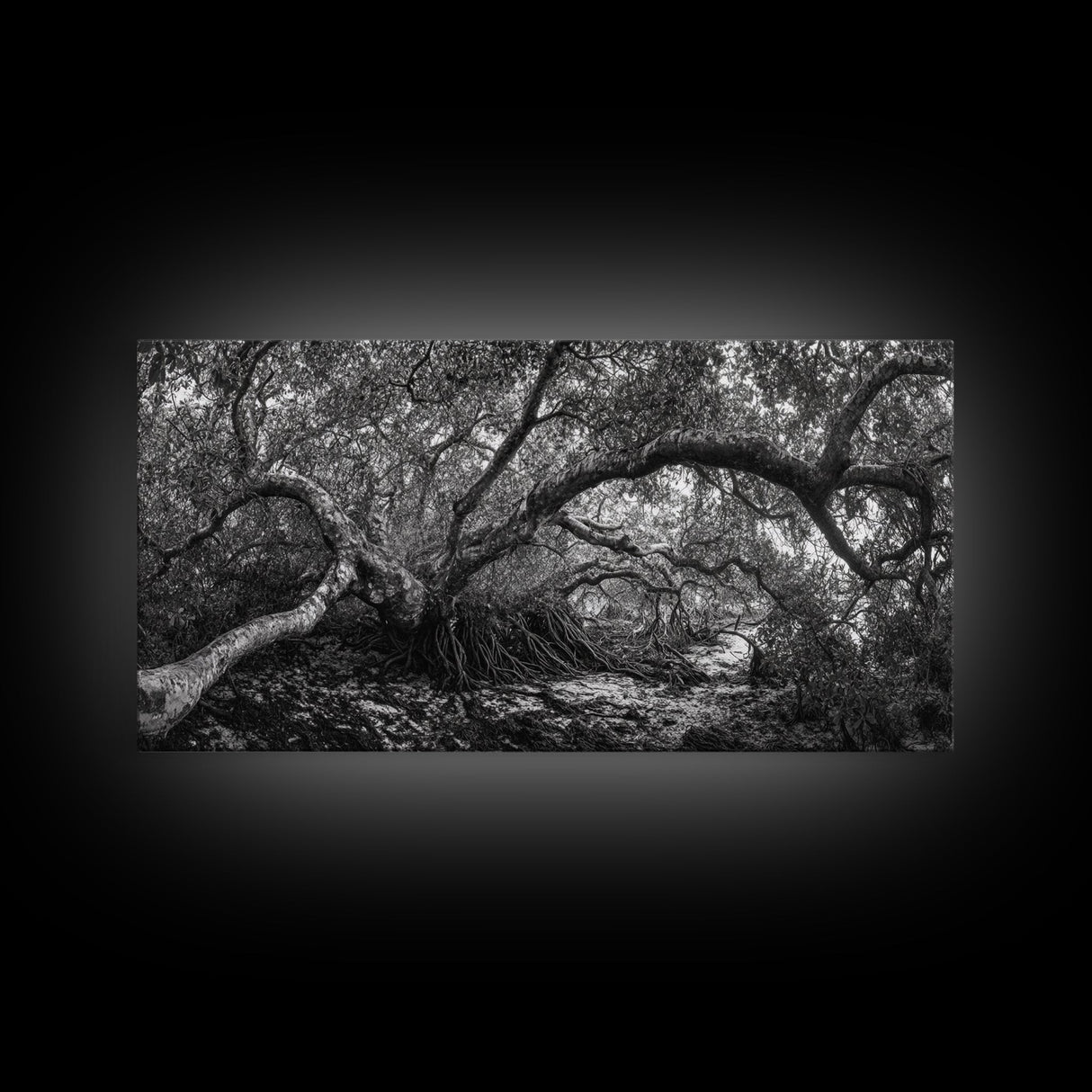 Mangrove Roots, Twisted Forest, Wild Nature, Moody Jungle, Framed Canvas Print, Rustic Living Room Art, Woodland Decor, Boho Vibes