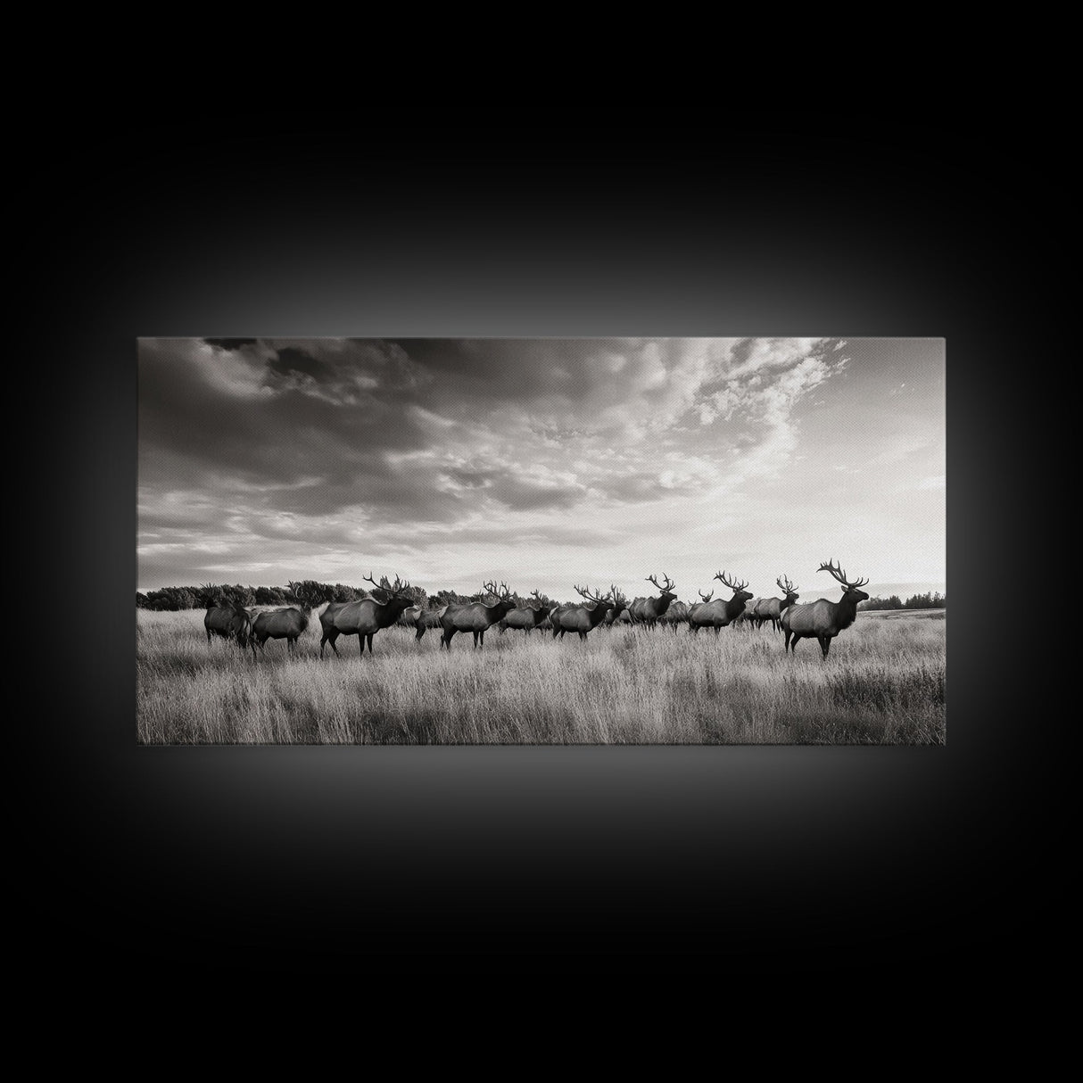 Elk Herd, Prairie Wildlife, Autumn Nature, Rustic Landscape, Framed Canvas Print, Western Wall Decor, Cabin Art, Living Room Print