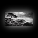 Lone Tree, Foggy Cliffs, Dramatic Landscape, Moody Sky, Framed Canvas Print, Nature Wall Art, Cabin Decor, Autumn Coastal Vibes