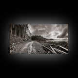 Forest Ocean Trail, Stormy Beach Scene, Driftwood Pathway, Framed Canvas Print, Cabin Entryway or Nature-Inspired Living Room Art