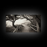 Ocean Cliff Path, Framed Trail Trees, Coastal Escape Scene, Framed Canvas Print, Boho Bedroom or Peaceful Hallway Wall Art, Entryway Accent