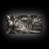 Oak Tree Path, Autumn Forest Glow, Nature Trail Photography, Framed Canvas Print, Hallway Wall Art, Earthy Decor, Woodland Art