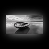 Seashell Shore Still, Ocean Reflection Calm, Beach Shell Close-Up, Framed Canvas Print, Coastal Minimalism, Bathroom Wall Art