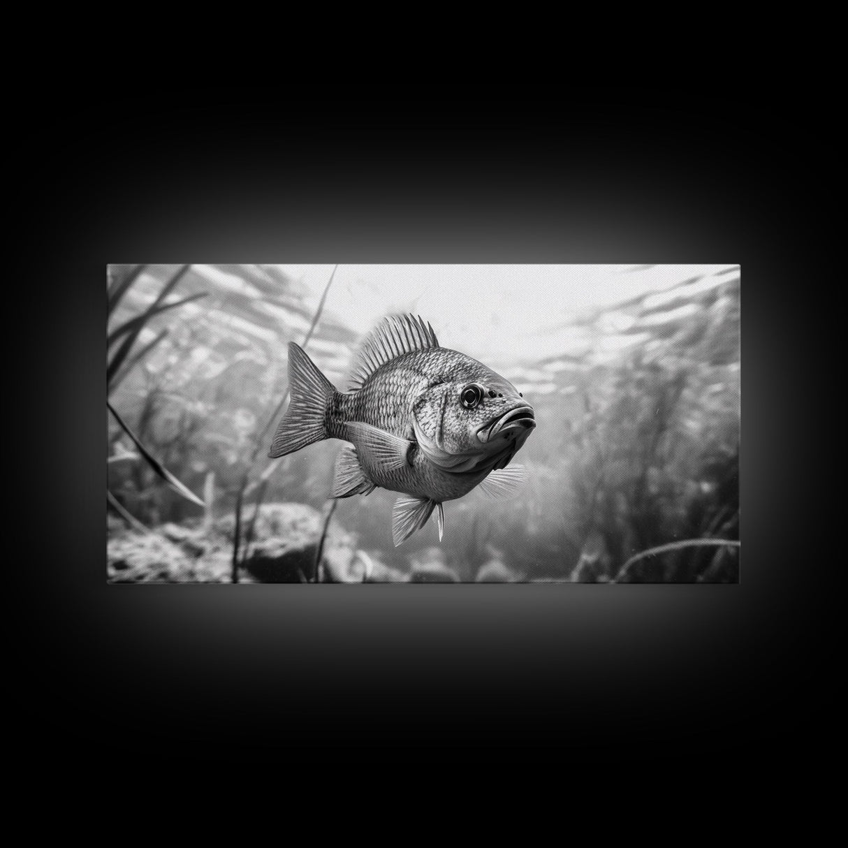 Underwater Fish, Nature Photography, Lake Life Scene, Freshwater Animal, Framed Canvas Print, Bathroom Wall Art, Minimalist Decor