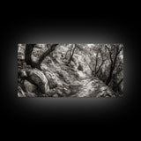 Woodland Trail, Autumn Path, Tree Tunnel, Rustic Outdoor Vibe, Framed Canvas Print, Entryway Nature Art, Moody Forest Decor
