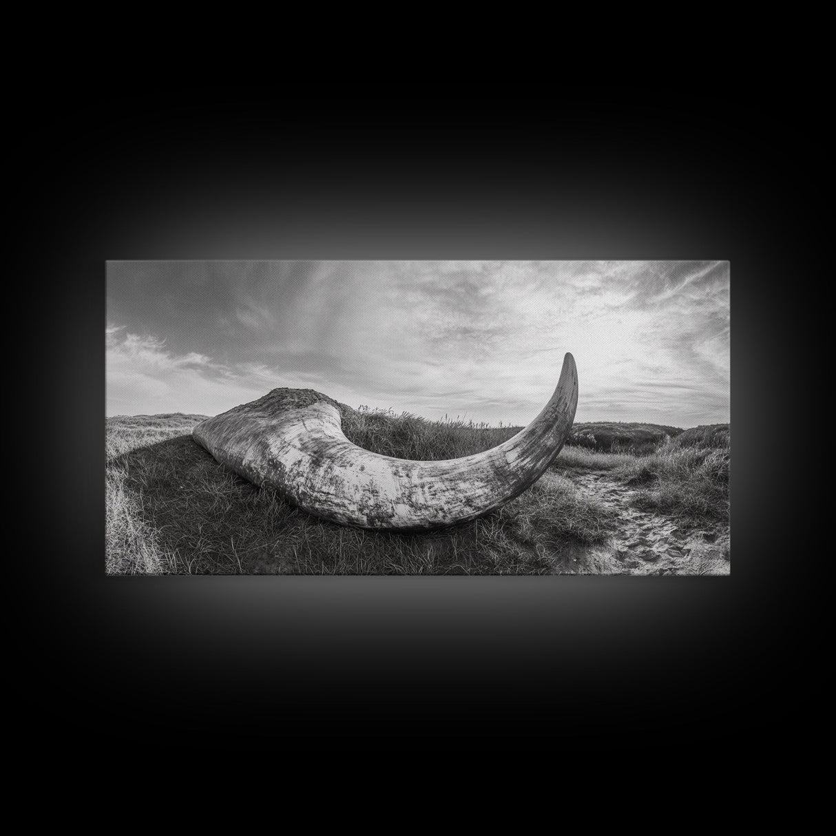 Driftwood Horn Curve, Coastal Nature Art, Whale Bone Decor, Beachside Minimalism, Canvas Print, Entryway Wall Art, Nautical Rustic Decor