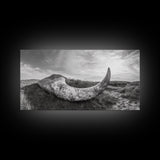 Driftwood Horn Curve, Coastal Nature Art, Whale Bone Decor, Beachside Minimalism, Canvas Print, Entryway Wall Art, Nautical Rustic Decor