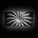 Cactus Spiral, Desert Bloom, Nature Closeup, Modern Decor, Framed Canvas Print, Minimalist Botanical Art, Office Wall Art, Succulent Texture