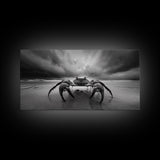Fierce Crab, Coastal Storm, Ocean Mood, Dramatic Shore, Framed Canvas Print, Bathroom Wall Art, Beach House Decor, Marine Photography
