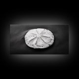 Sand Dollar, Beach Detail, Minimalist Sea, Calm Nature, Framed Canvas Print, Bathroom Wall Art, Coastal Boho Decor, Ocean Zen Style