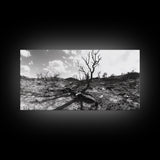 Barren Tree Landscape, Post Fire Terrain, Dystopian Forest Scene, Survival Mood, Canvas Print, Office Wall Art, Dark Nature Decor