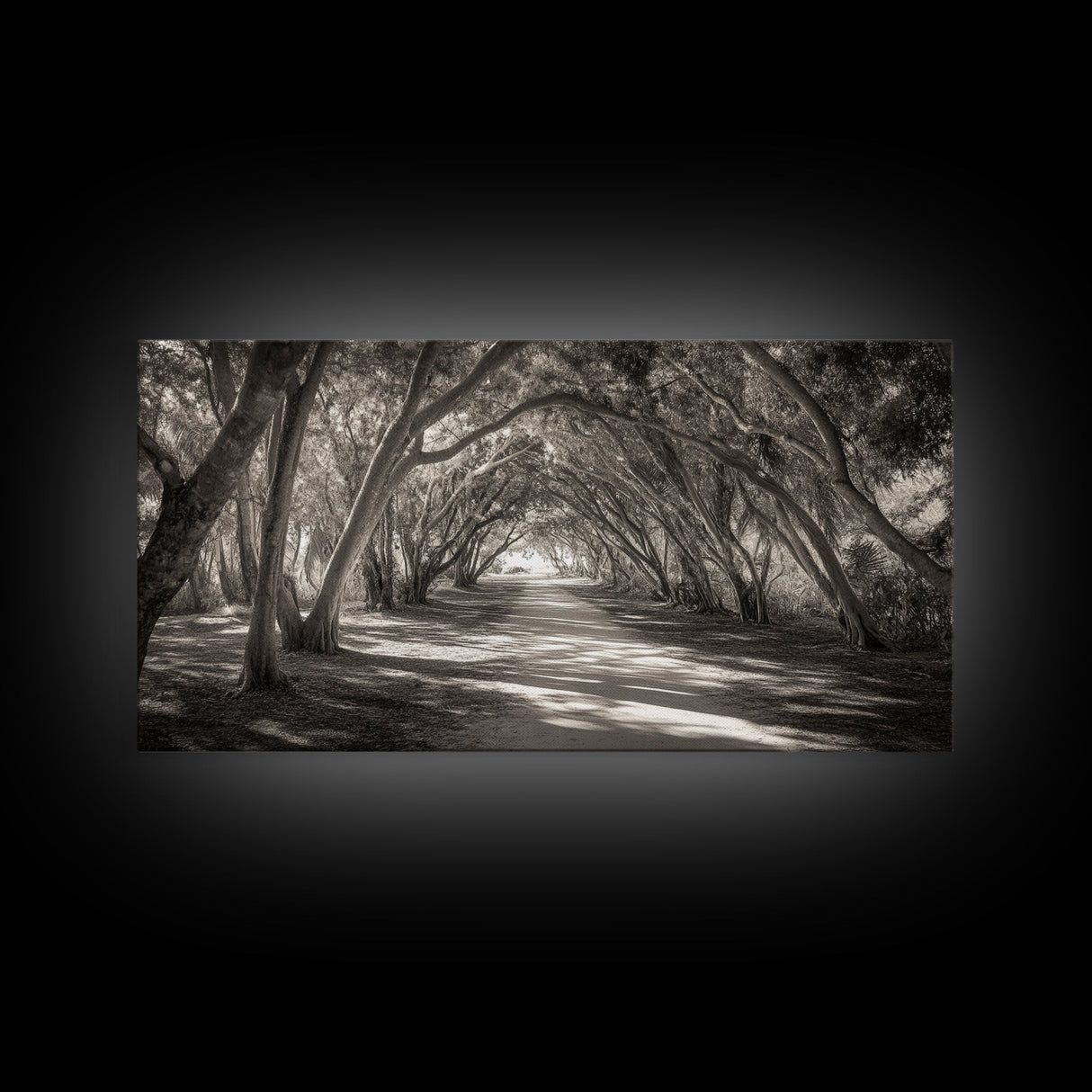 Tree Tunnel Trail, Light Dappled Path, Forest Archway Scene, Framed Canvas Print, Hallway Wall Art, Boho Natural Decor, Living Room Wall Art