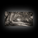 Tree Tunnel Trail, Light Dappled Path, Forest Archway Scene, Framed Canvas Print, Hallway Wall Art, Boho Natural Decor, Living Room Wall Art