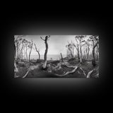 Burnt Forest, Moody Trees, Coastal Landscape, Nature Scene, Framed Canvas Print, Rustic Wall Art, Boho Decor, Fall Home Aesthetic