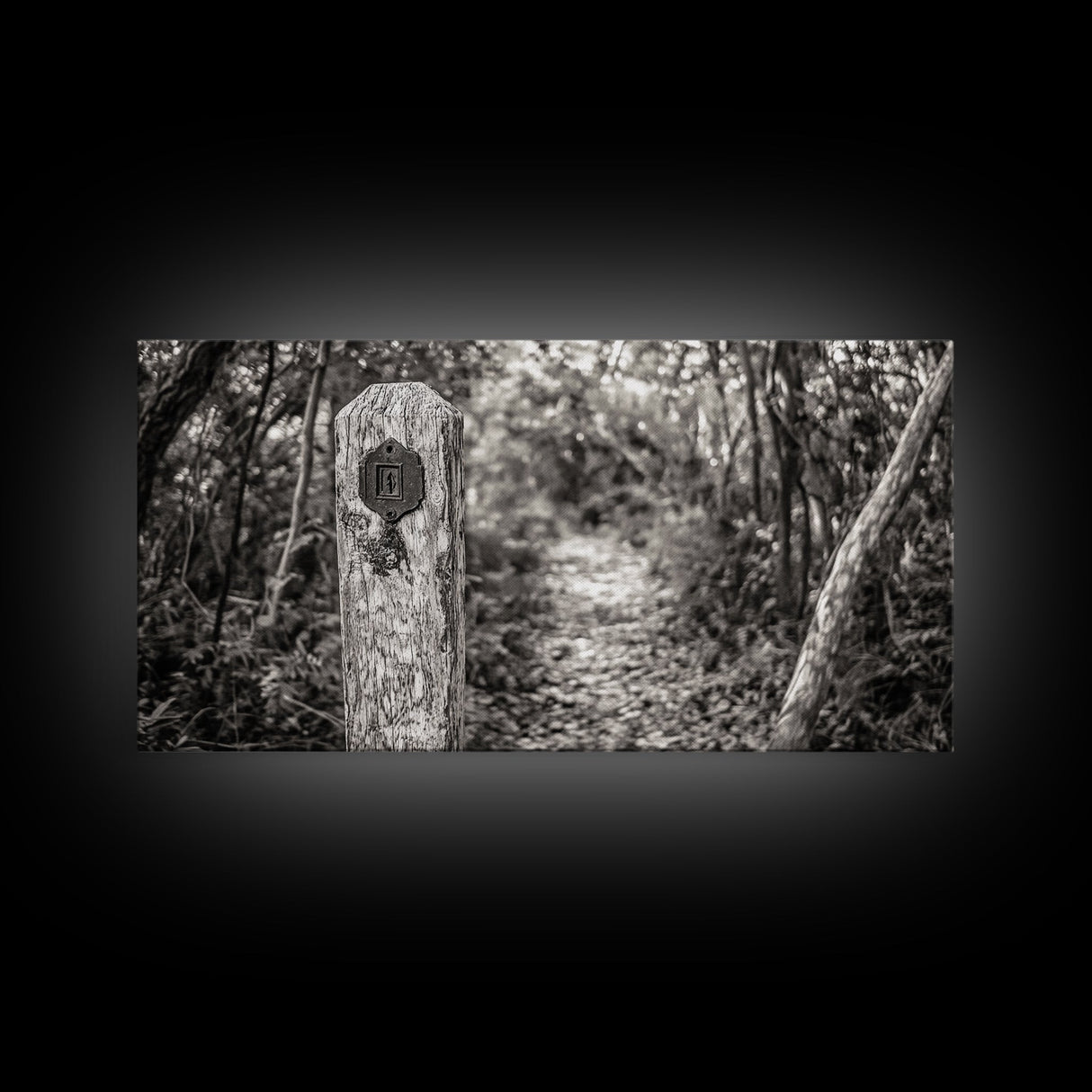 Trail Marker, Wooded Path, Rustic Forest, Natural Journey, Framed Canvas Print, farmhouse decor, nature lover gift, Autumn entryway art