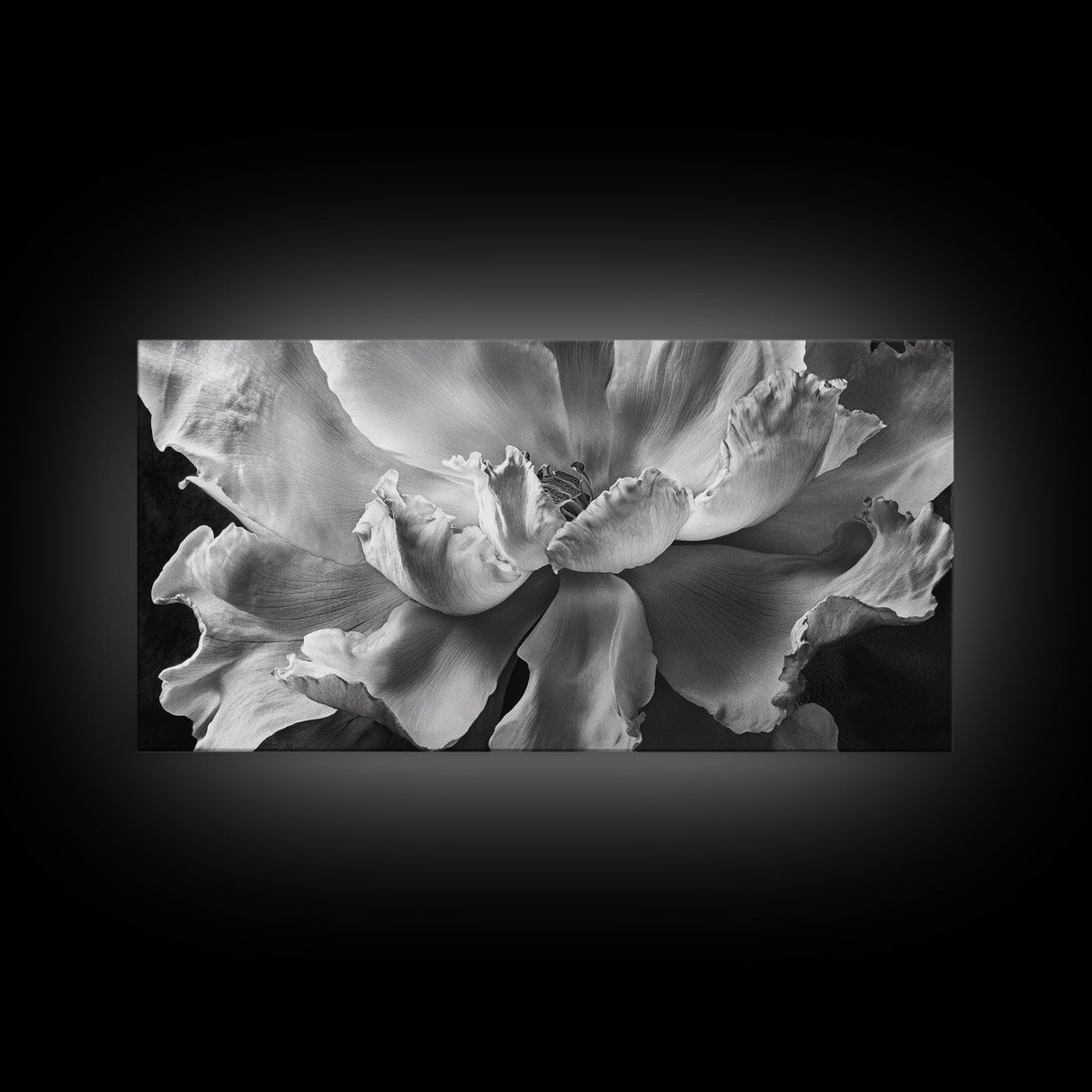 Floral Closeup, Petal Texture, Macro Bloom, Canvas Print, Botanical Bedroom Wall Art, Black And White Flower, Modern Nature Photography