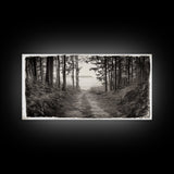 Forest Path, Island View, Vintage Border, Nature Trail, Canvas Print, Sepia Landscape Art, Entryway Wall Art, Woodland Photography Style
