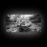 Coral Texture, Ocean Storm, Dramatic Sky, Sea Fossil, Framed Canvas Print, Coastal Nature Art, Fall Entryway Wall Decor, Cabin Wall Art