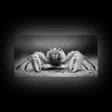 Hermit Crab, Close-Up, Ocean Creature, Monochrome Nature, Framed Canvas Print, Marine Wall Decor, Coastal Kitchen Wall Art, Entryway Accent