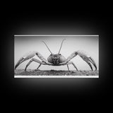 Crab Art, Beach Creature, Monochrome Photography, Nature Close-Up, Framed Canvas Print, Coastal Bathroom Art, Marine Home Style