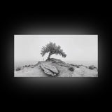 Solitary Tree, Minimalist Nature, Desert Landscape, Canvas Print, Modern Home Decor, Neutral Wall Art, Entryway Accent, Calm Mood Art
