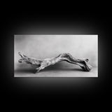 Driftwood Sculpture, Organic Modern Art, Natural Wood Texture, Neutral Decor, Framed Canvas Print, Bedroom or Living Room Wall Art