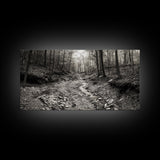 Forest Stream, Tranquil Woodland Path, Autumn Nature Photography, Framed Canvas Print, Rustic Cabin Decor, Living Room Wall Art