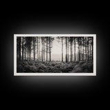 Forest Light Scene, Tall Trees Shadows, Nature Mist Pathway, Framed Canvas Print, Woodland Bedroom Art, Boho Rustic Wall Decor