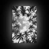 Palm Tree Sky, Tropical Canopy, Black and White Island View, Jungle Overhead Scene, Framed Canvas Print, Bathroom Wall Art, Beach Boho Decor