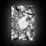 Forest Canopy View, Tree Tops Art, Nature Sky Print, Framed Canvas Print, Bedroom Wall Art, Minimalist Nature, Modern Rustic Decor