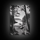 Woodland Cove Path, Tranquil Forest Scene, Nature Escape Art, Canvas Print, Cabin Wall Art, Coastal Boho Decor, Black White Landscape