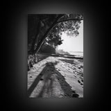 Coastal Shadows Path, Black and White Landscape, Framed Canvas Print, Entryway Art, Calm Nature Scene, Moody Coastal Wall Decor