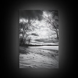 Dramatic Beach Sunset, Bare Trees Silhouette, Nature Photography, Framed Canvas Print, Fall Wall Art, Entryway Decor, Rustic Minimalist