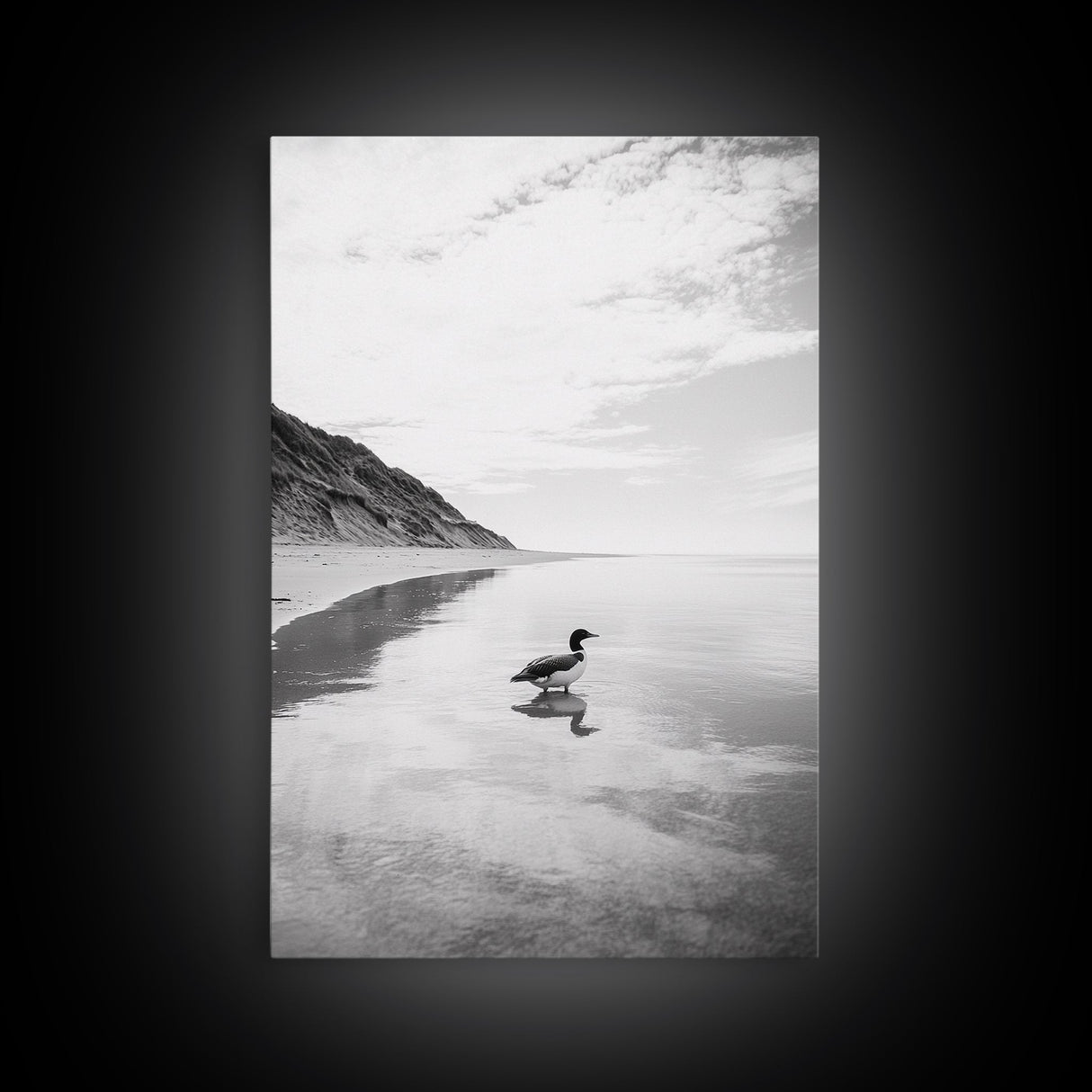 Lone Loon, Quiet Reflection, Coastal Bird, Framed Canvas Print, Nature Wall Art, Bathroom Decor, Serene Black and White Art