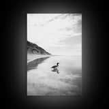 Lone Loon, Quiet Reflection, Coastal Bird, Framed Canvas Print, Nature Wall Art, Bathroom Decor, Serene Black and White Art